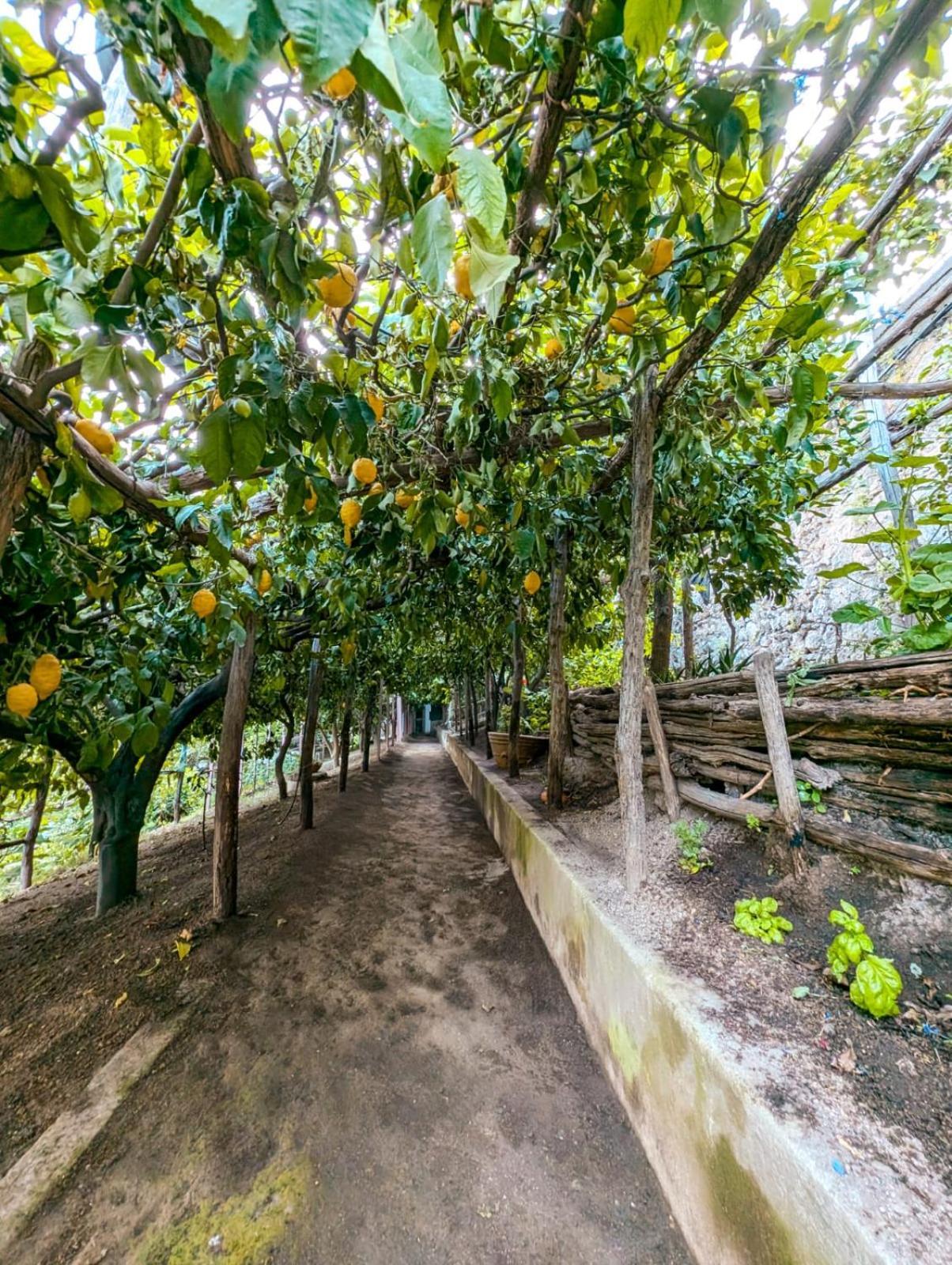 Apartament Casa Emi Amalfi Zewnętrze zdjęcie
